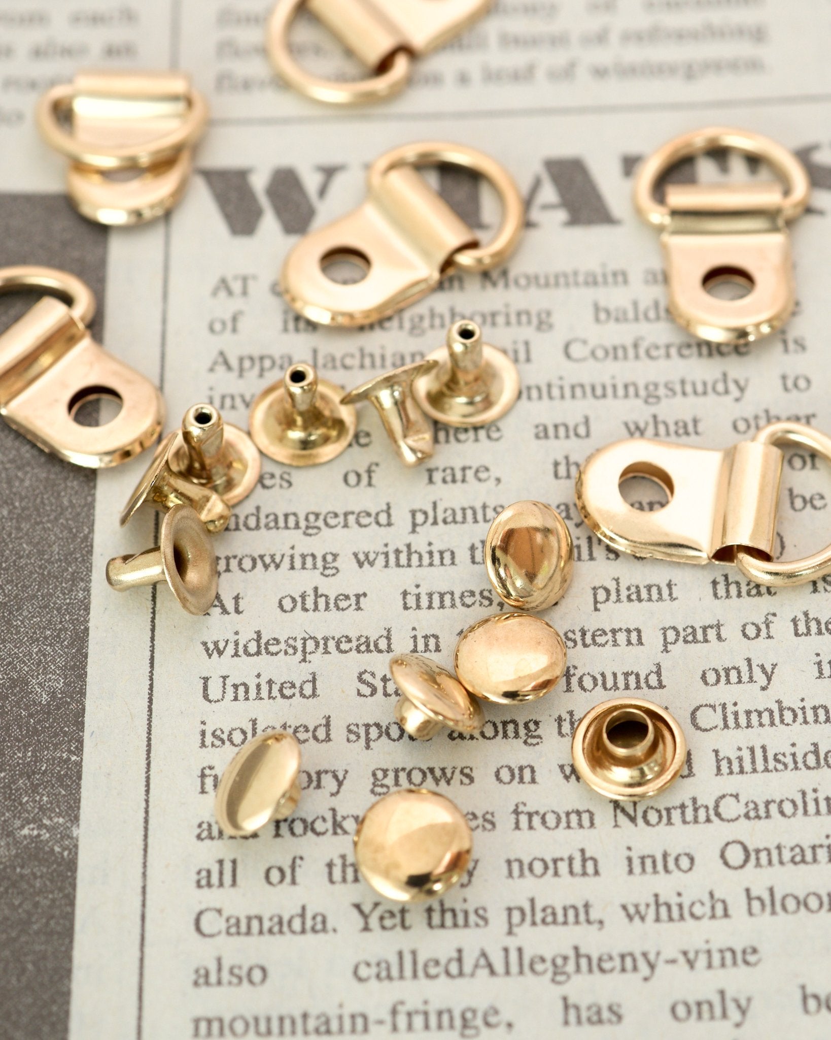 吊カンカシメ付き 内径10mm 10組入り JPC119-1 - アクセサリーパーツ